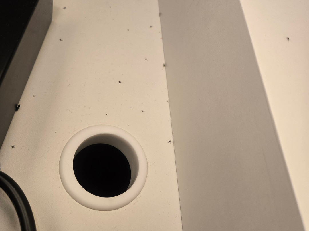 Village Inn Hotel & Event Center, Trademark Collection by Wyndham主图