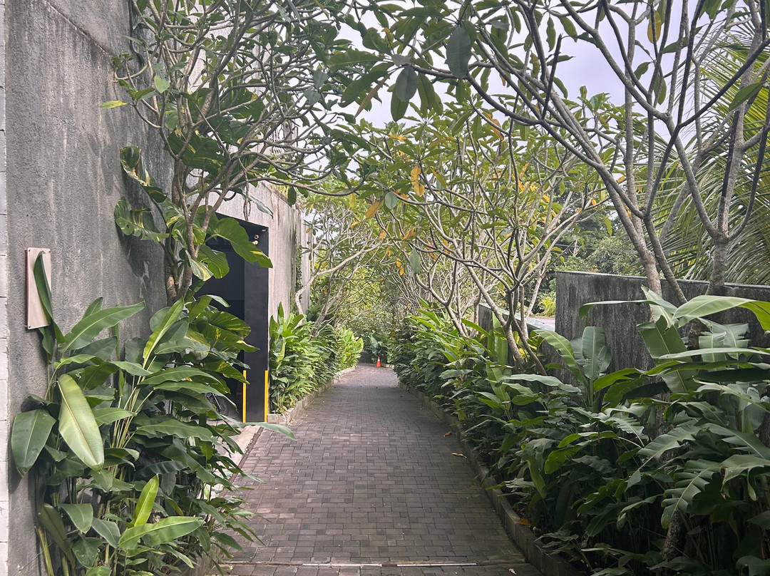 巴厘岛世外桃源别墅主图