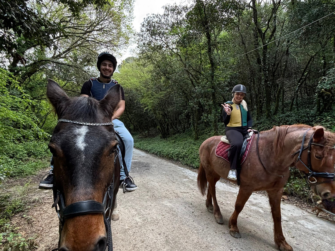 Silvaland-Kalafationes必去景点