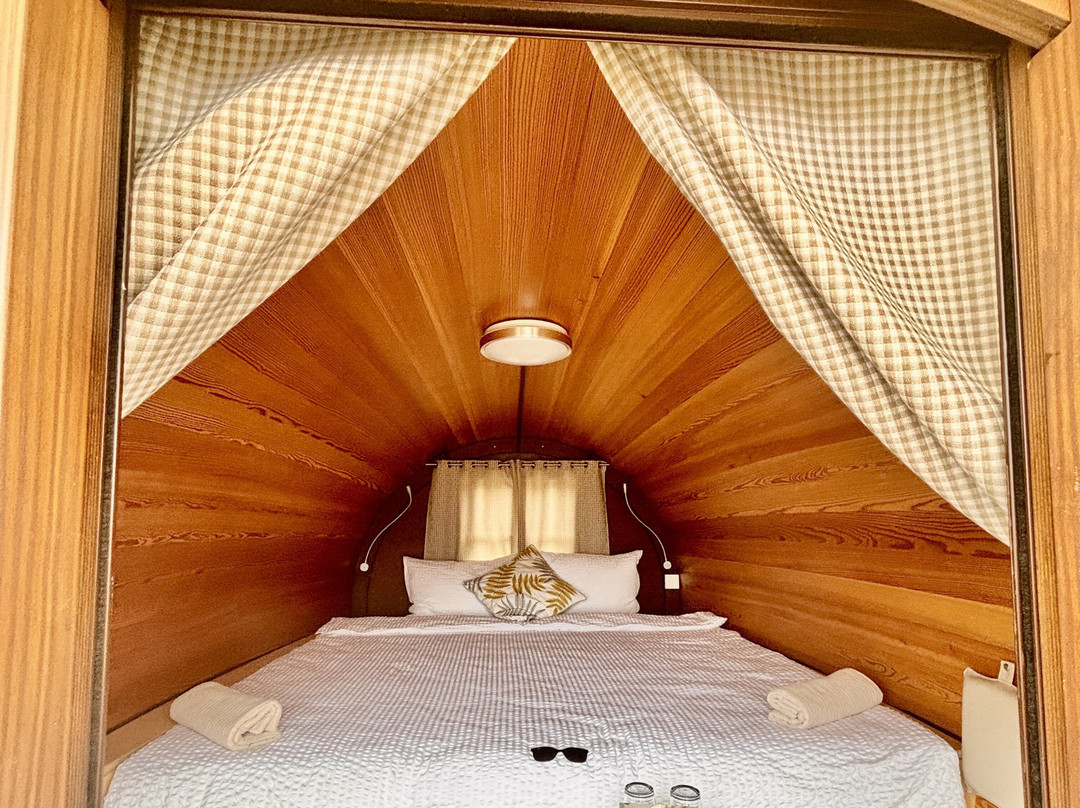 Finca Seguro Bodega S.L.主图