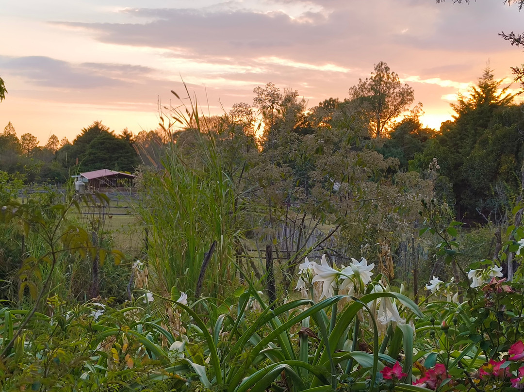 El Rancho Evergreen Guest Ranch-圣克里斯托瓦尔-德拉斯卡萨斯必去景点
