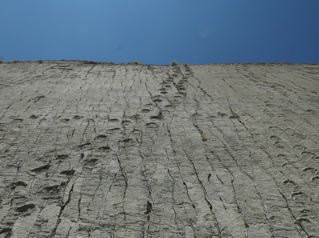 Dinosaur Tracks (Cal Orck'o)-苏克雷必去景点