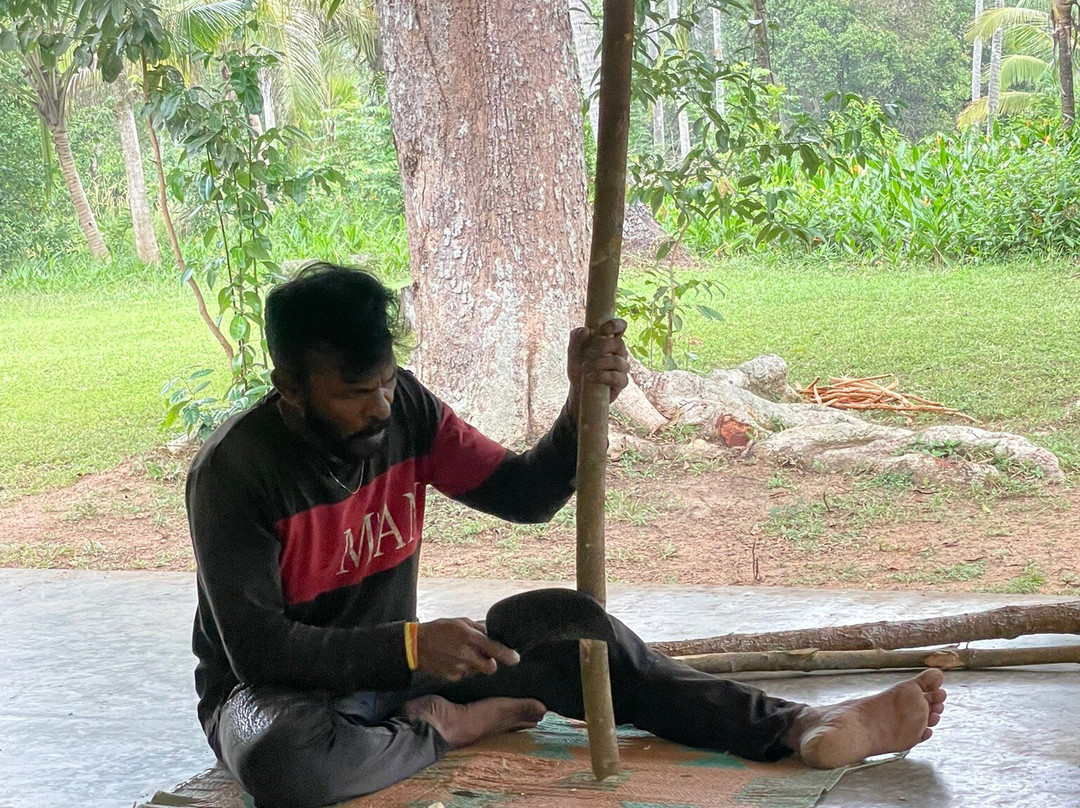 DM Lanka Tours-卡图纳耶克必去景点