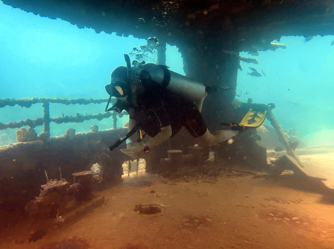 Ultra Marine Divers景点图片