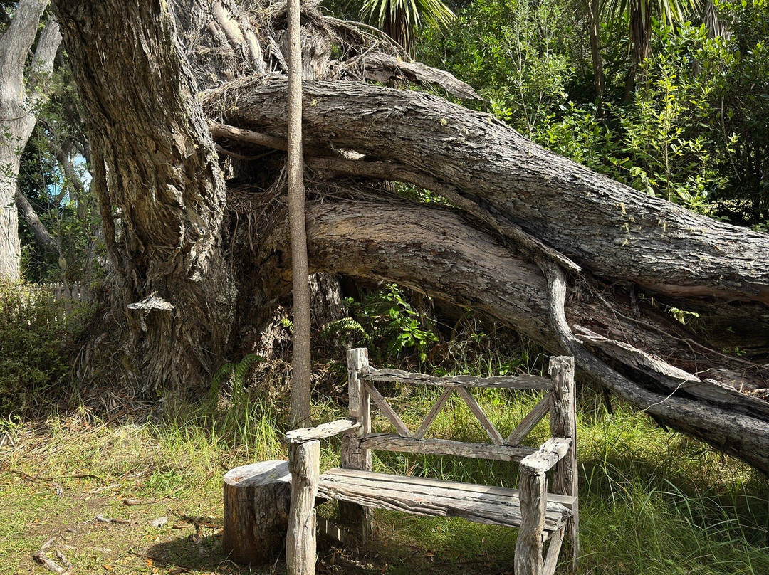 Butler Point Whaling Museum-Mangonui必去景点