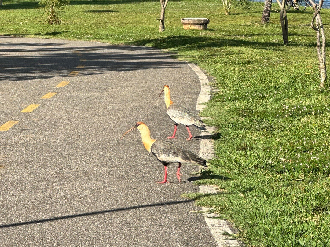 Parque Ecologico Peninsula Sul-巴西利亚必去景点