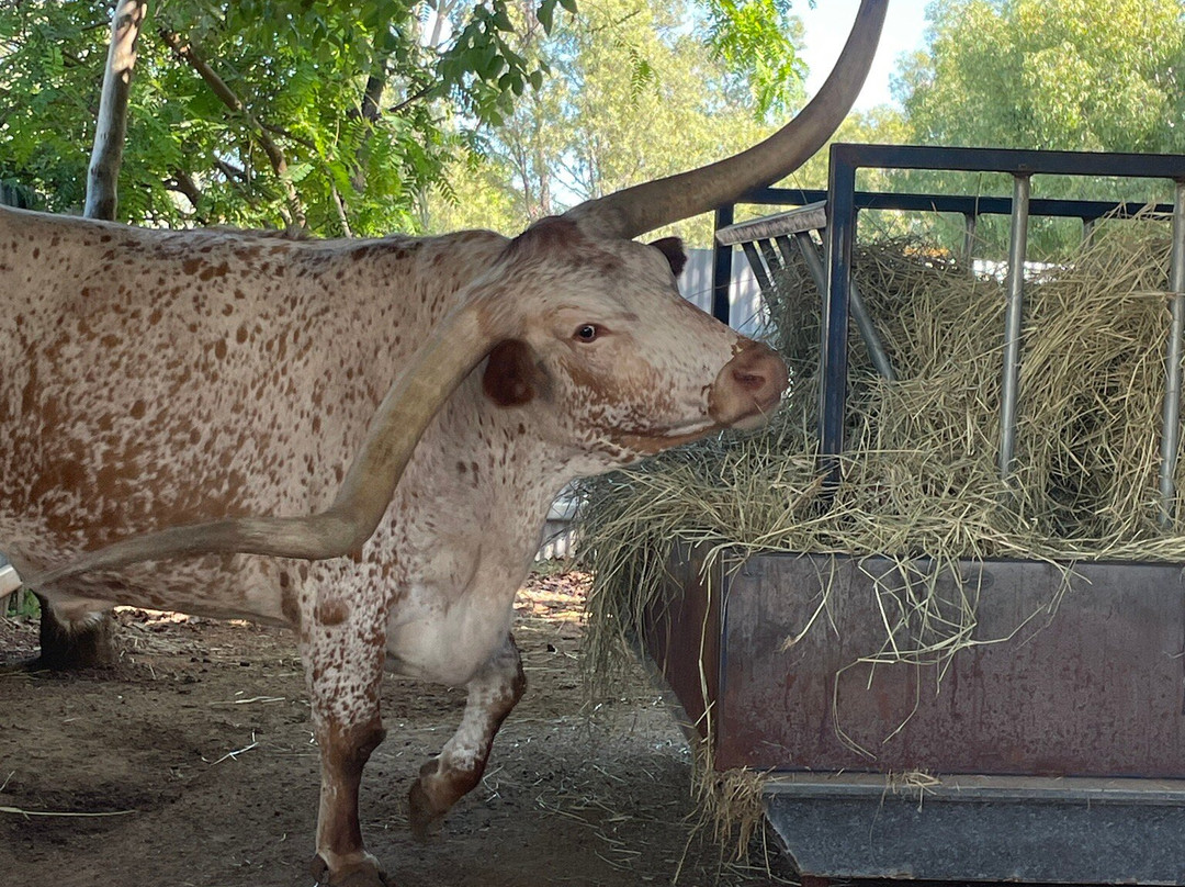 Up The Creek Garage-Roma必去景点