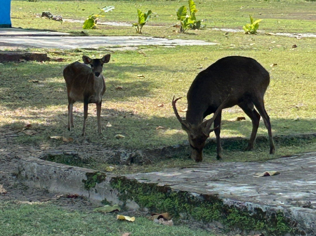 Koh Kradat-阁骨岛必去景点