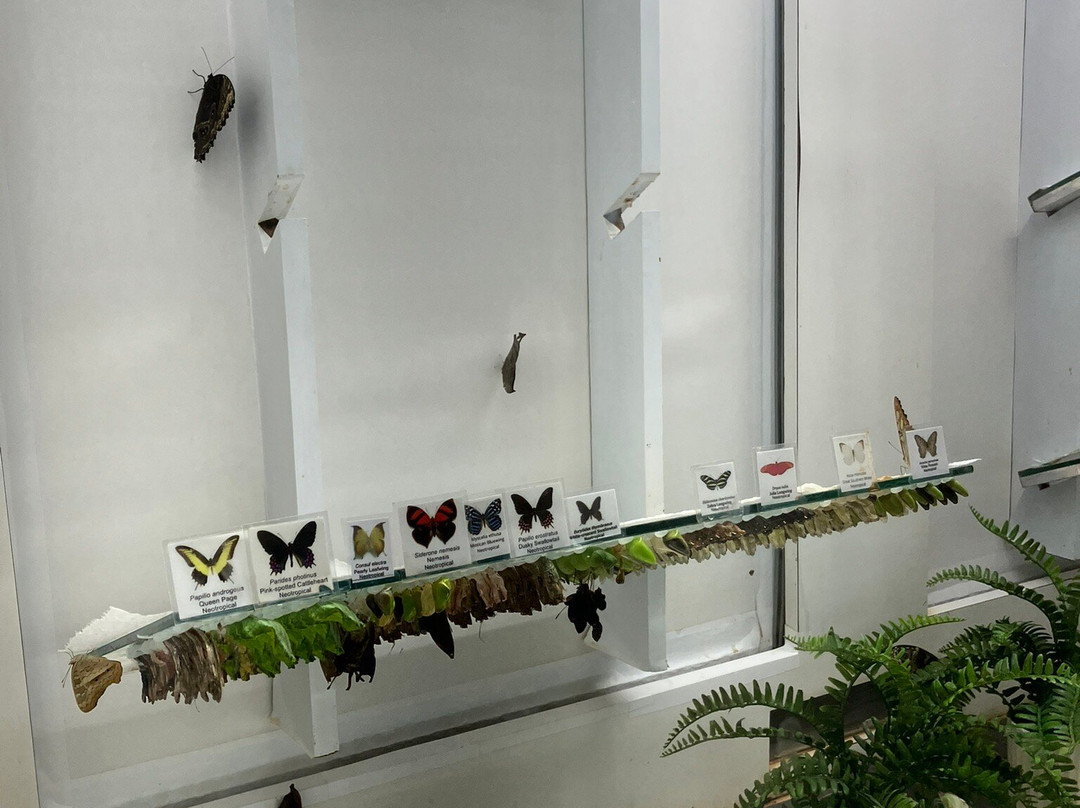 Butterfly Wonderland-斯科茨代尔必去景点