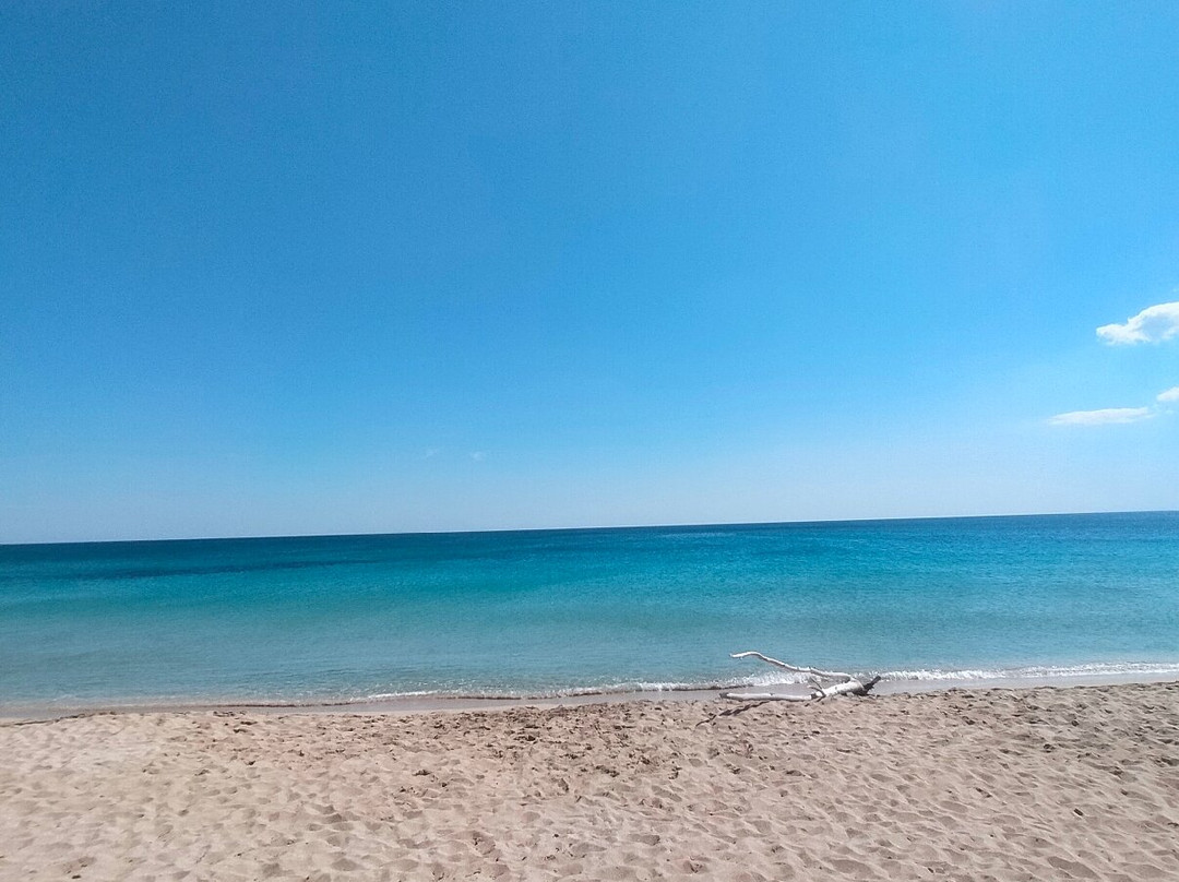Spiaggia Salina dei Monaci-Manduria必去景点