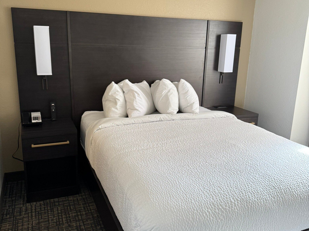 Residence Inn Rochester Mayo Clinic Area主图