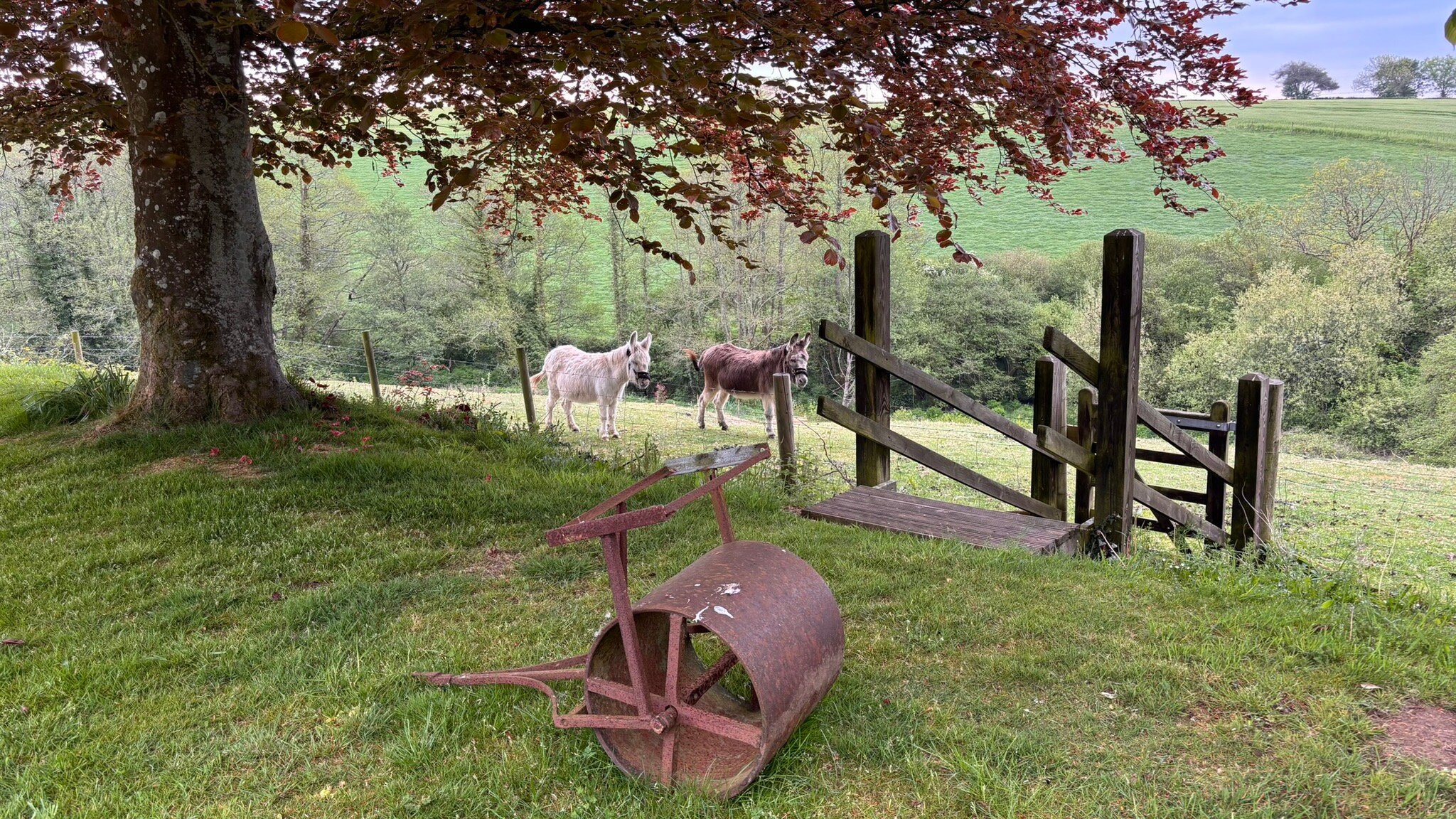 Smeaton Farm-官方