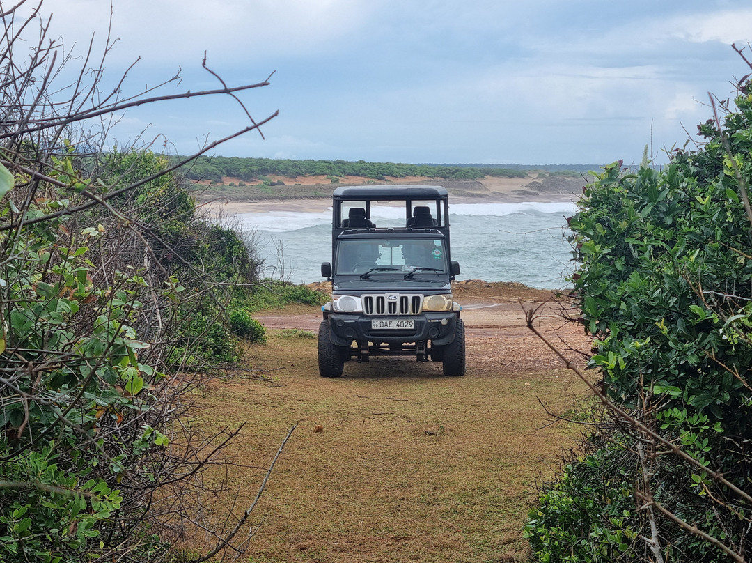 Nimsara Yala Safari景点图片