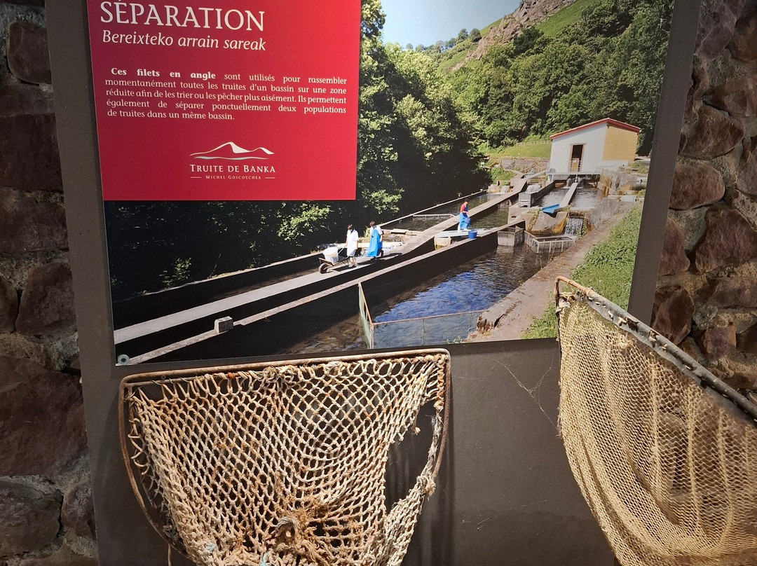 Truite de Banka-Banca必去景点