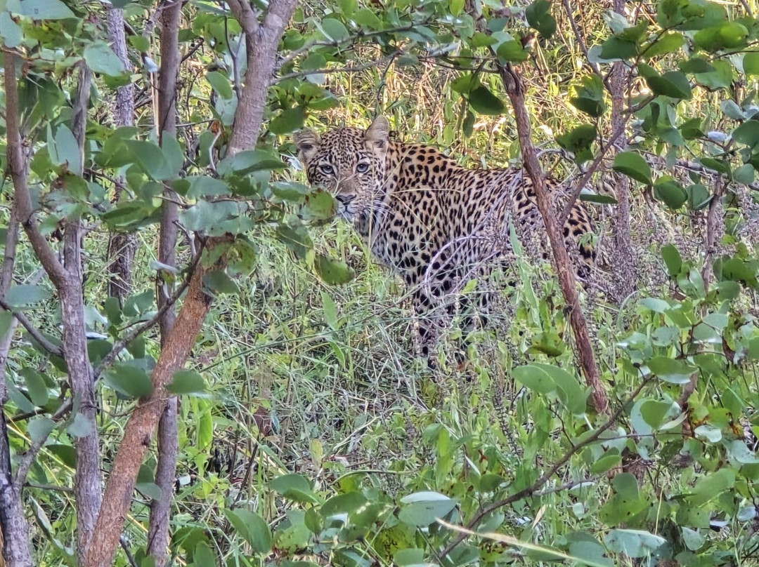 Victoria Falls Private Game Reserve-维多利亚瀑布必去景点