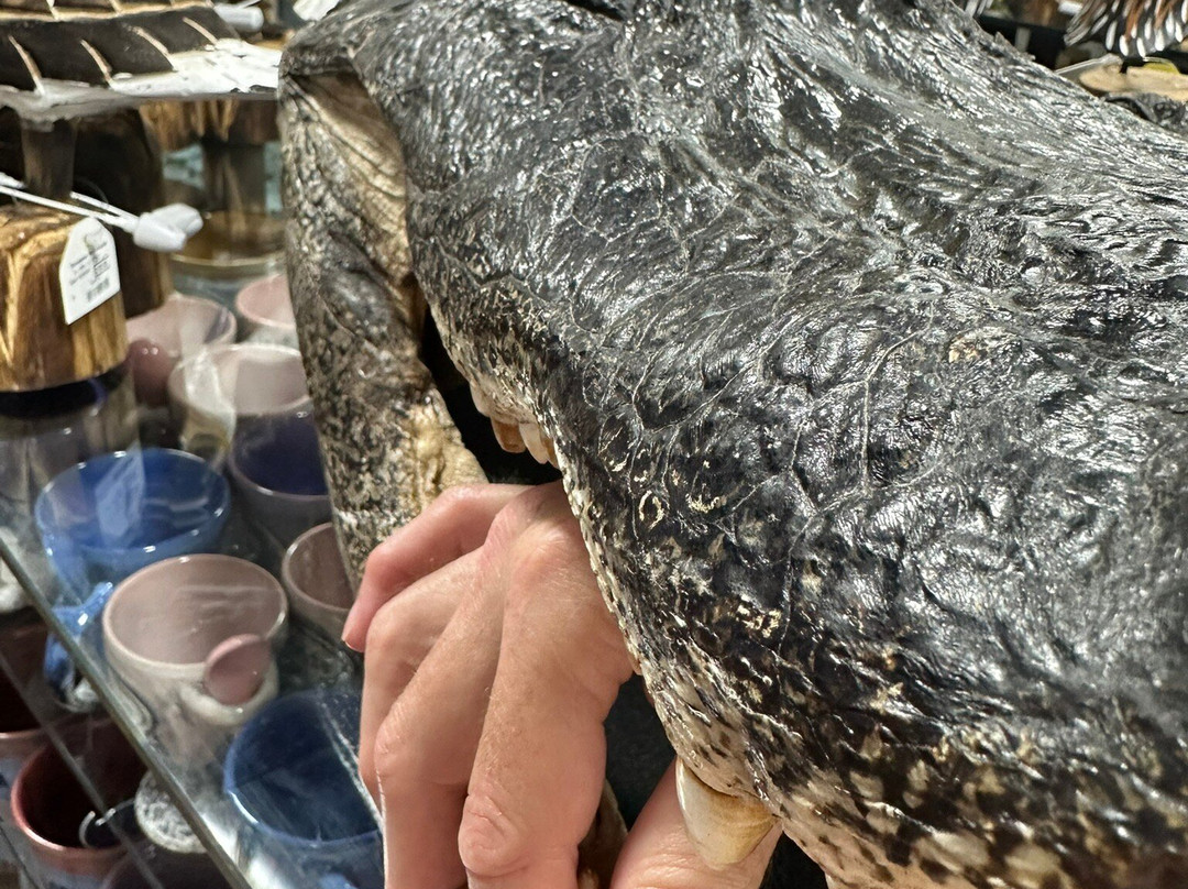 St. Armands Circle-萨拉索塔必去景点