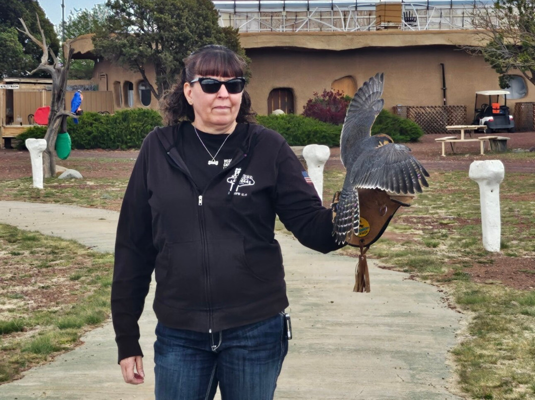 Raptor Ranch-威廉姆斯必去景点