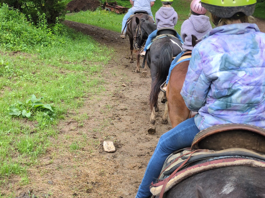 Davy Crockett Riding Stables-汤森必去景点