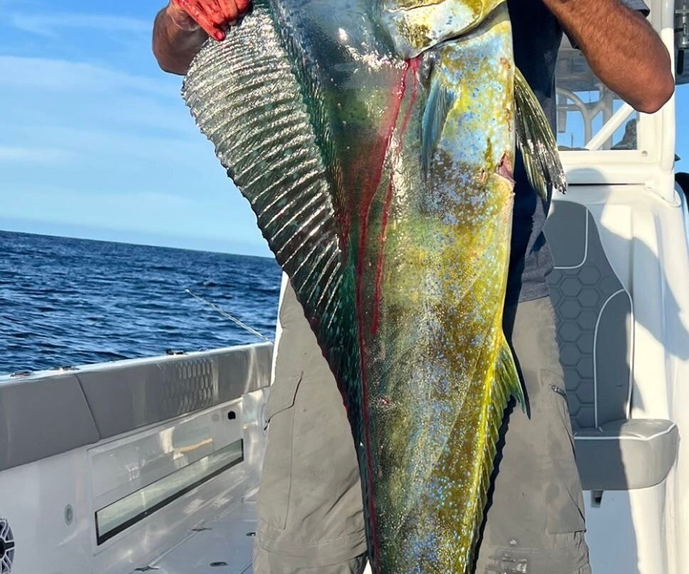 Spear Maldives Fishing Charter景点图片