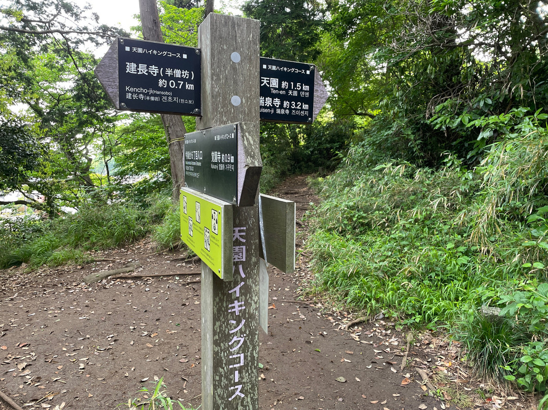 天园徒步线路-镰仓市必去景点