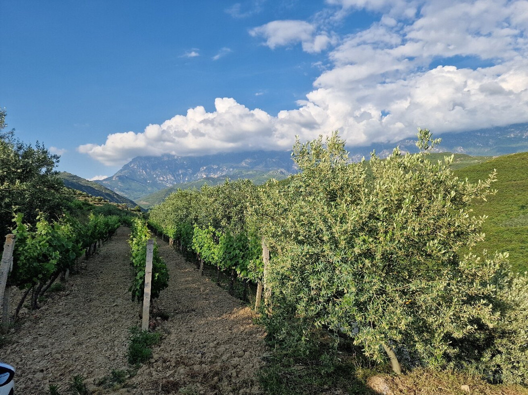 Pupa Winery & Guesthouse-Fushe Peshtan必去景点