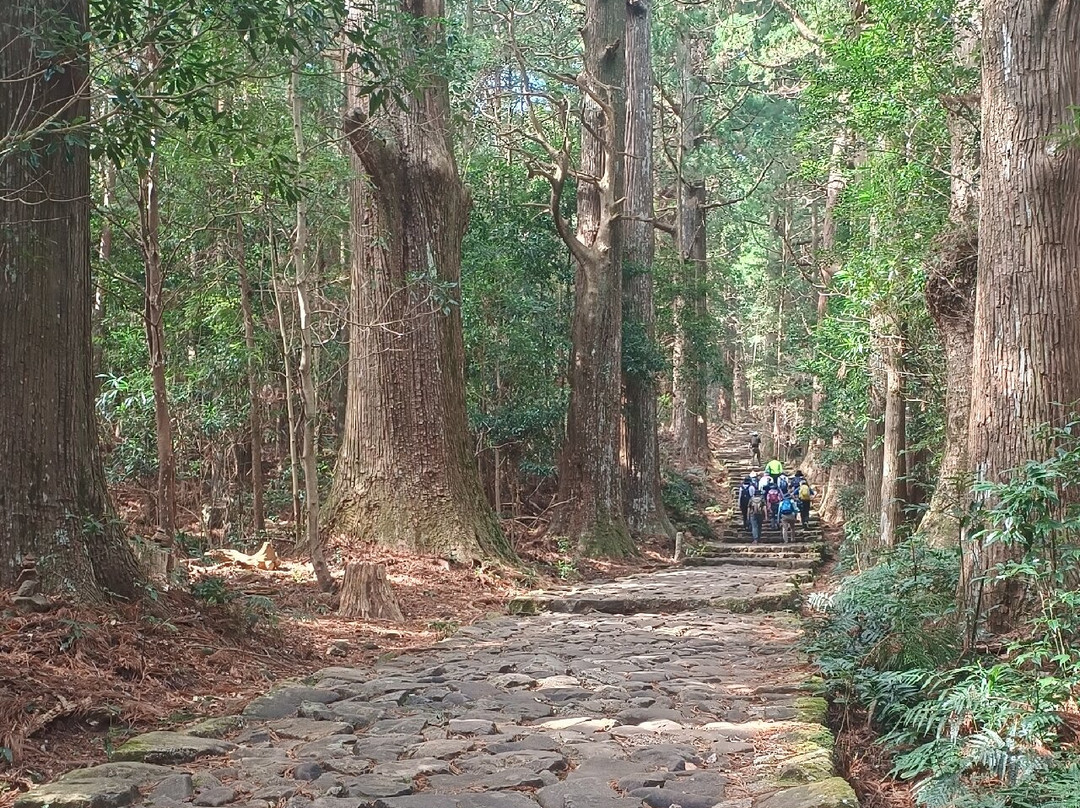 Kumano Kodo-那智胜浦町必去景点