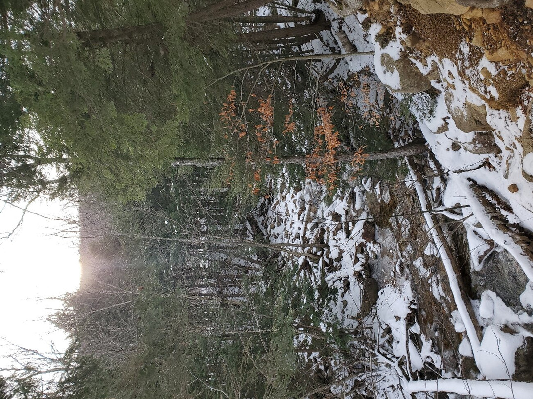 Arethusa Falls-Hart's Location必去景点