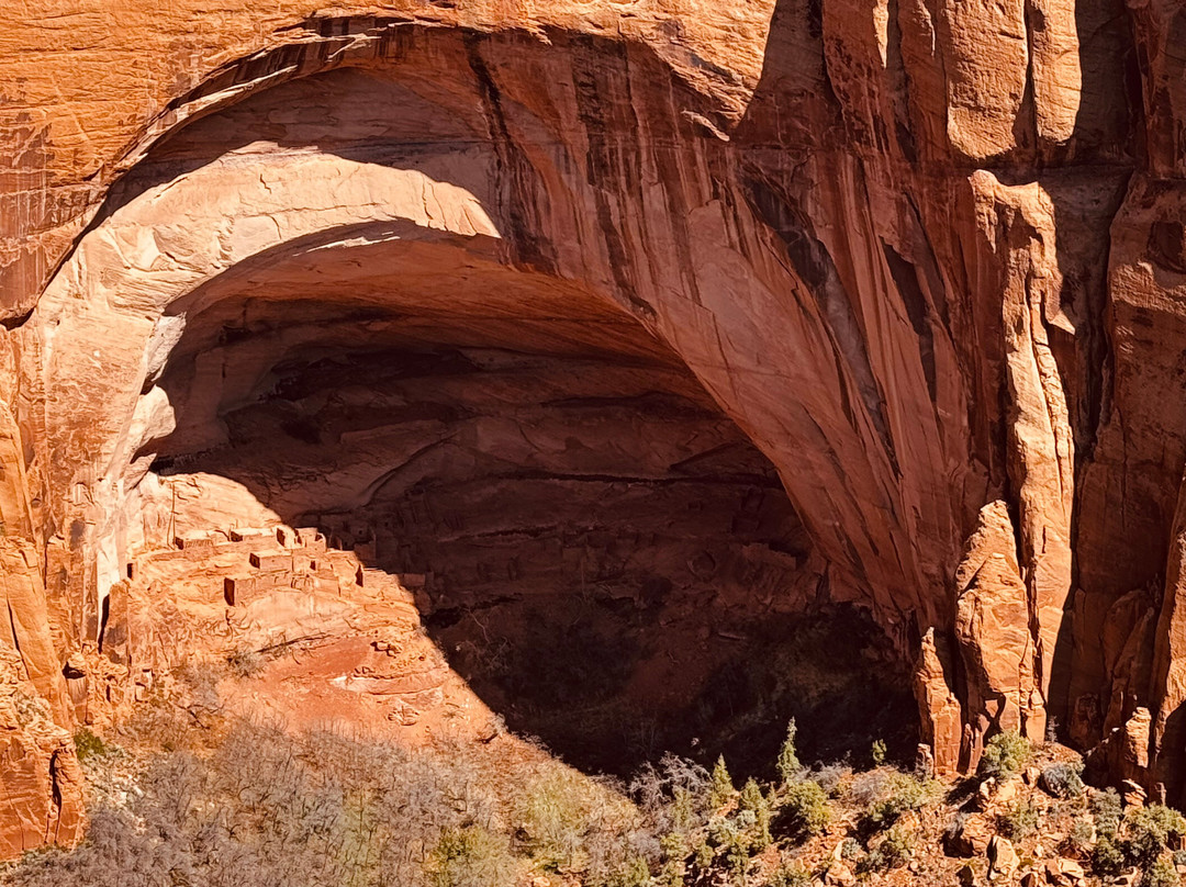 Navajo National Monument-Shonto必去景点