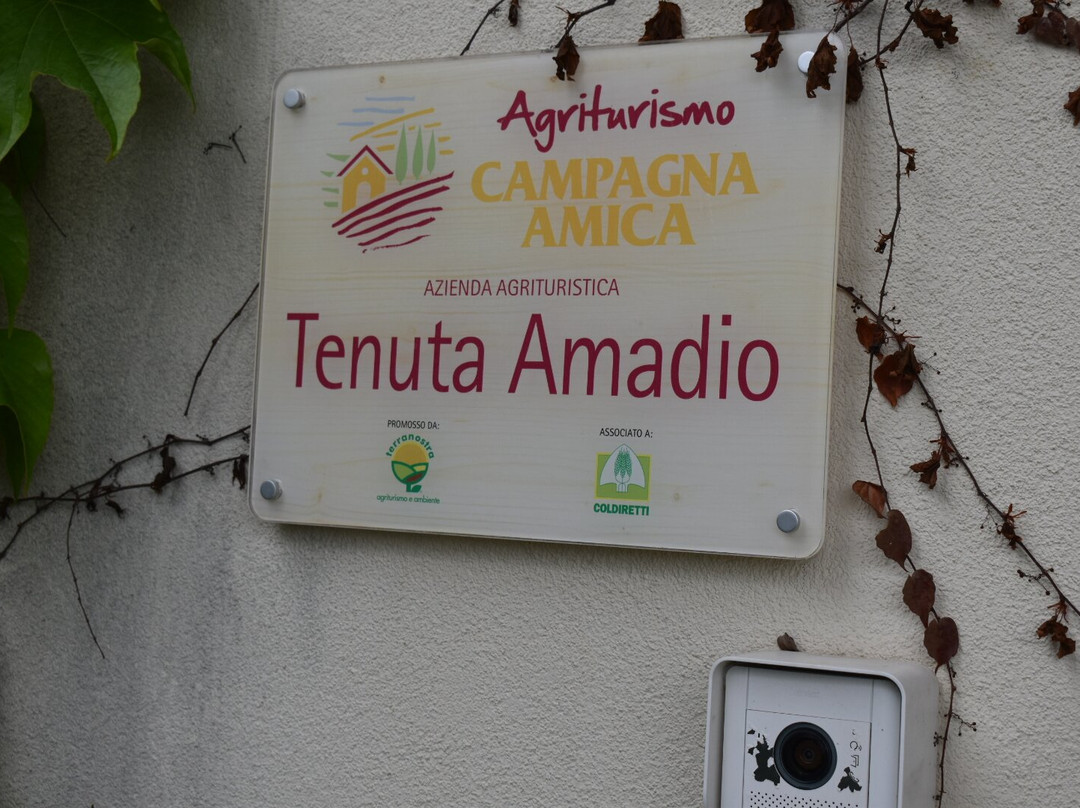 Tenuta Amadio-Monfumo必去景点