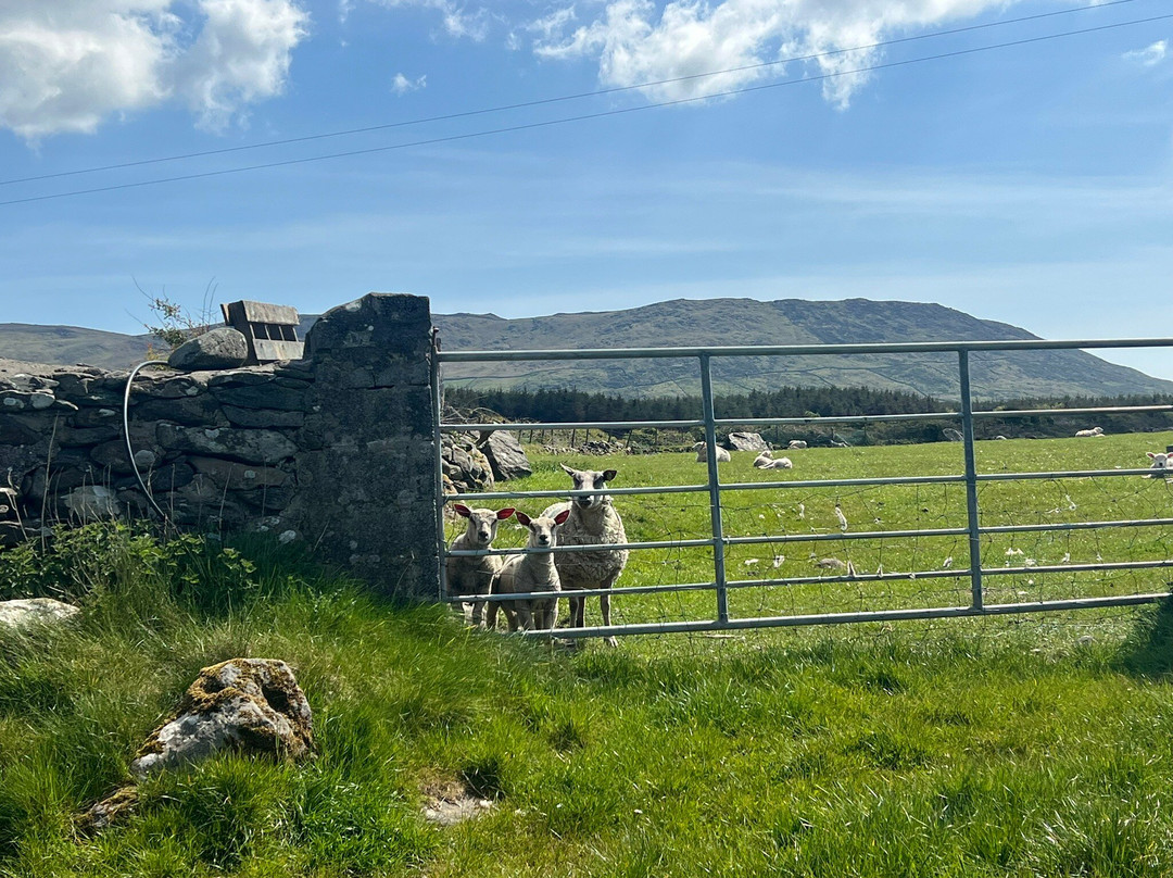 Wonderful Ireland Walking Tours-邓德拉姆必去景点
