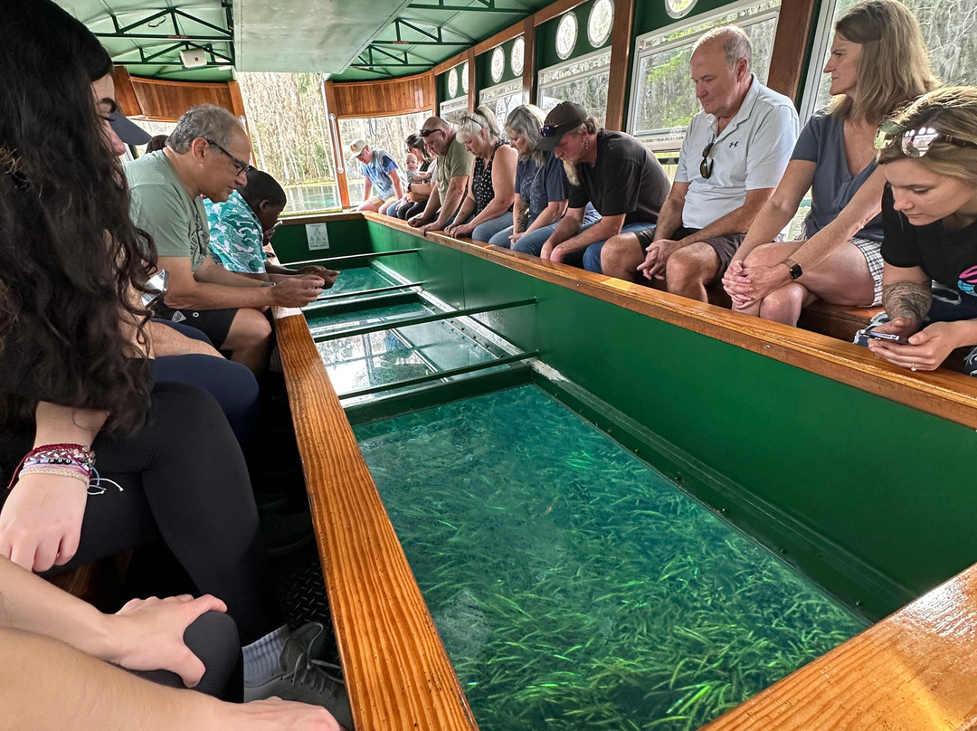 Silver Springs River-奥卡拉必去景点