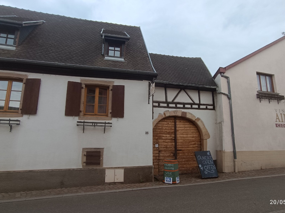 Cave Vins d'Alsace Jean-Louis Schoepfer-维特塞姆必去景点