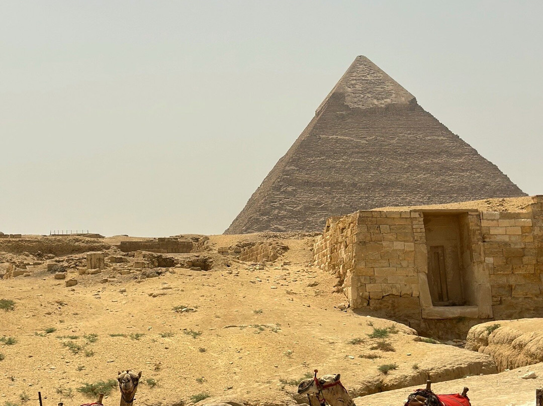 Egyptian Tour Guide Magdy-开罗必去景点