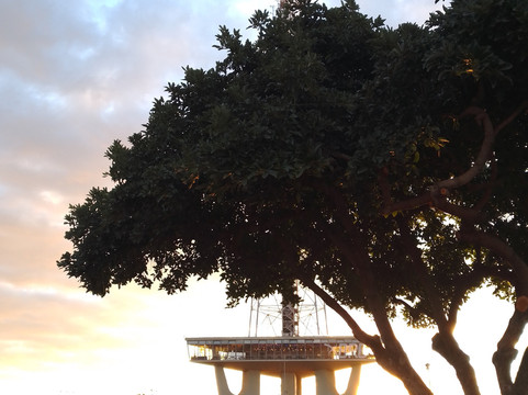 Jardim Burle Marx-巴西利亚必去景点