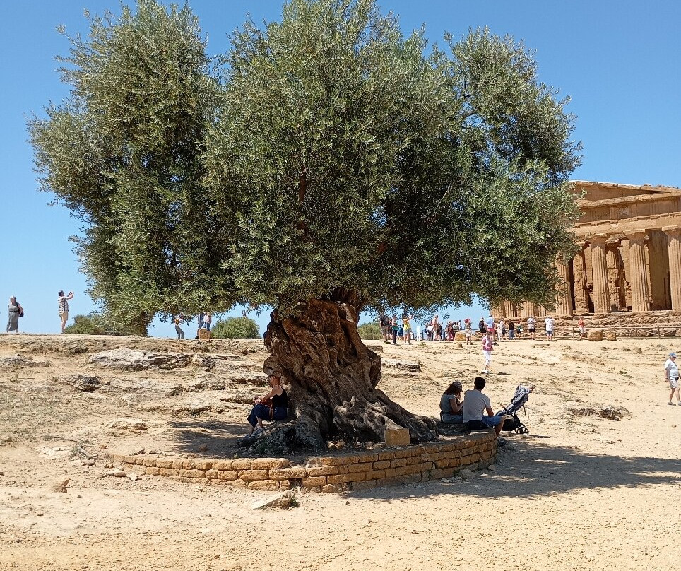 Guide Turistiche Agrigento景点图片