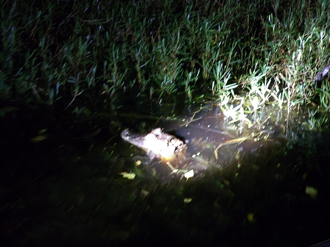 Bigi Pan-Nieuw Nickerie必去景点