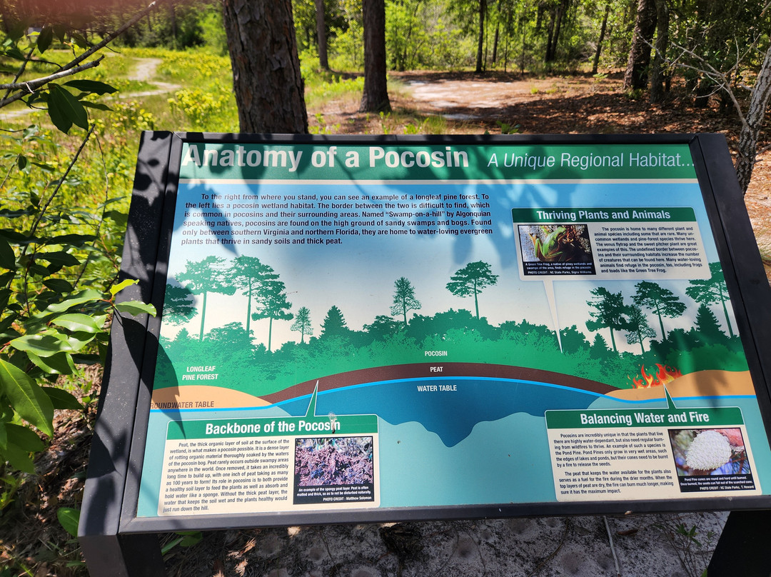 Stanley Rehder Carnivorous Plant Garden-威尔明顿必去景点