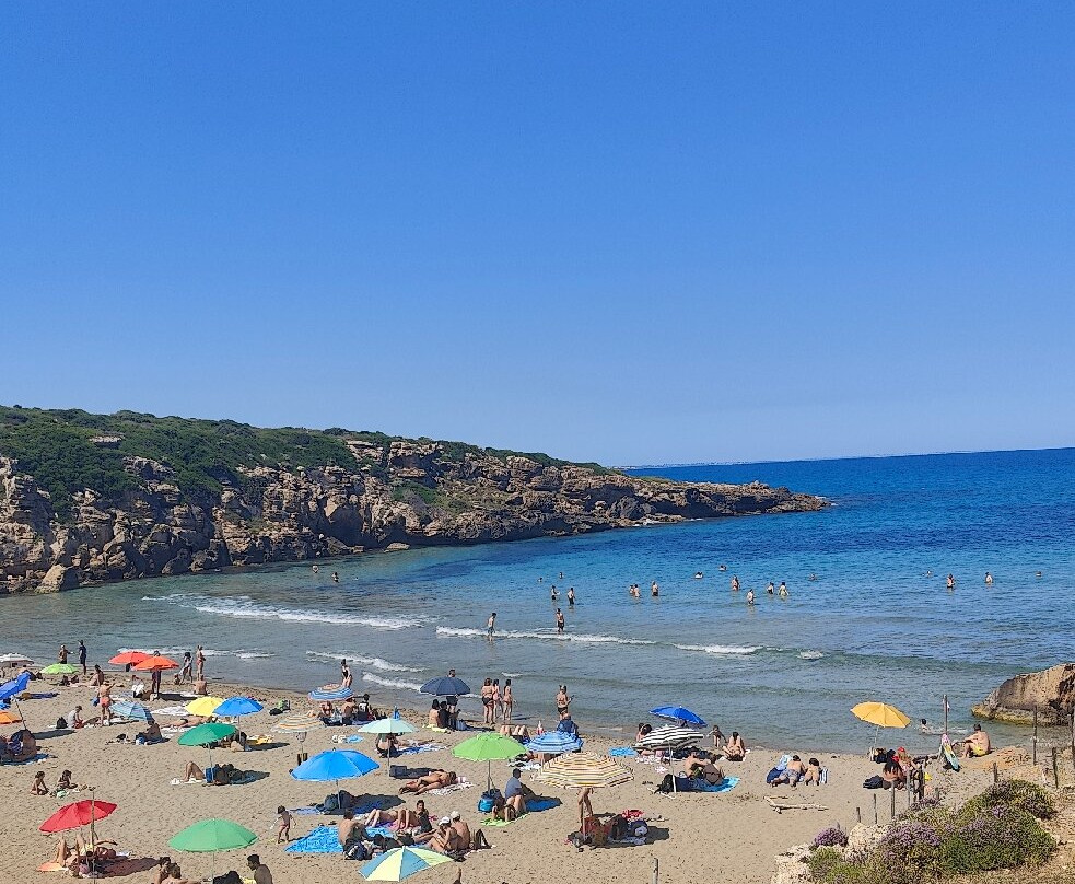 Spiaggia Calamosche景点图片