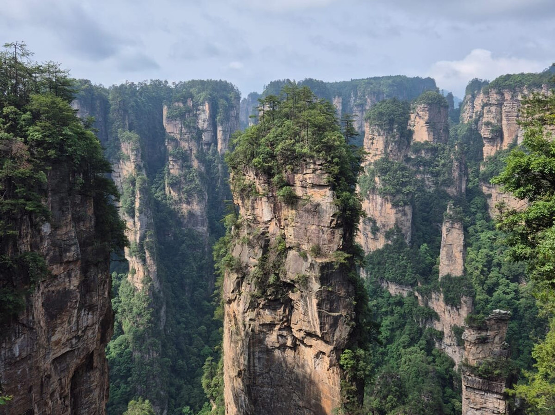 Asia Tours景点图片