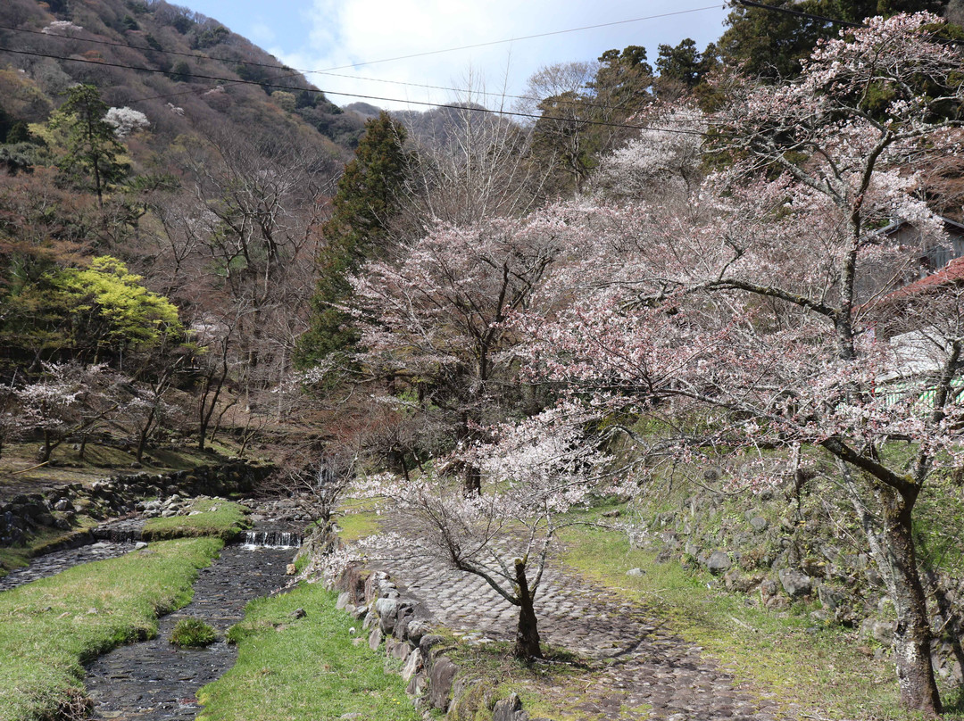 Yoro Park-养老町必去景点