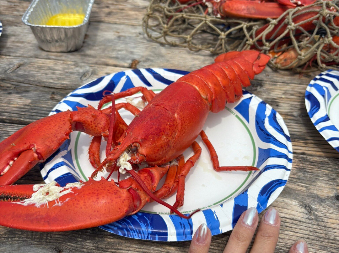 Acadia Lobster Cruise景点图片