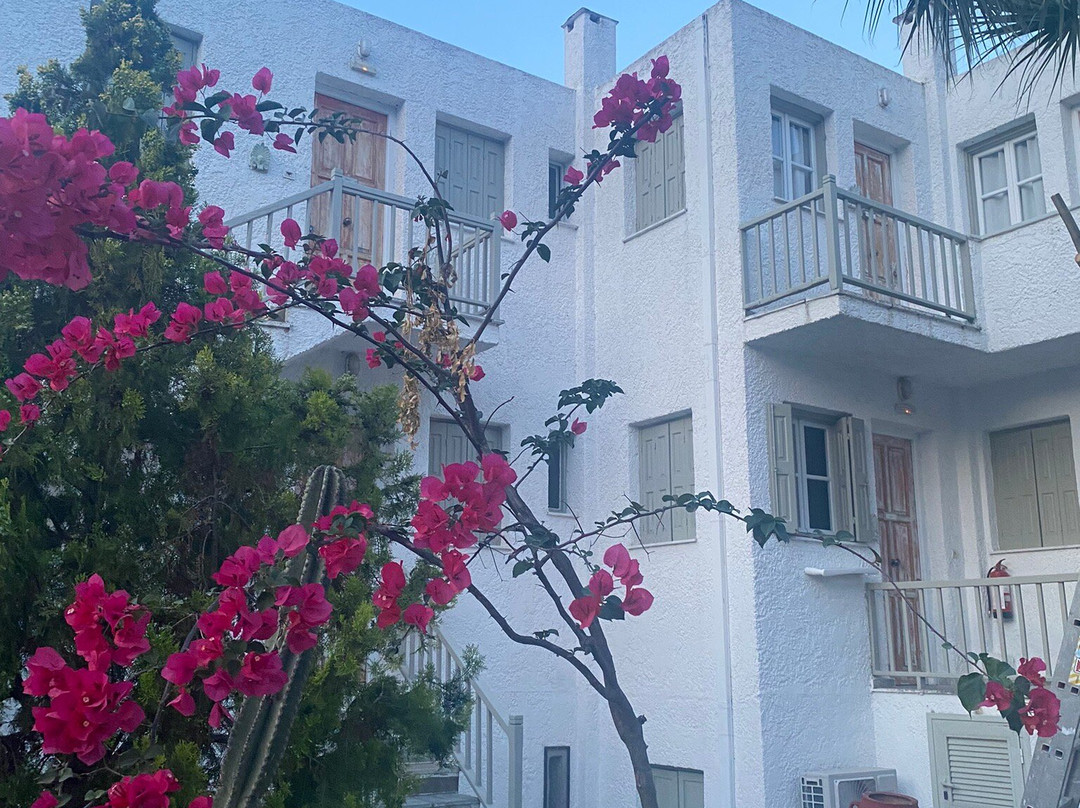 Cascade Holiday Resort主图