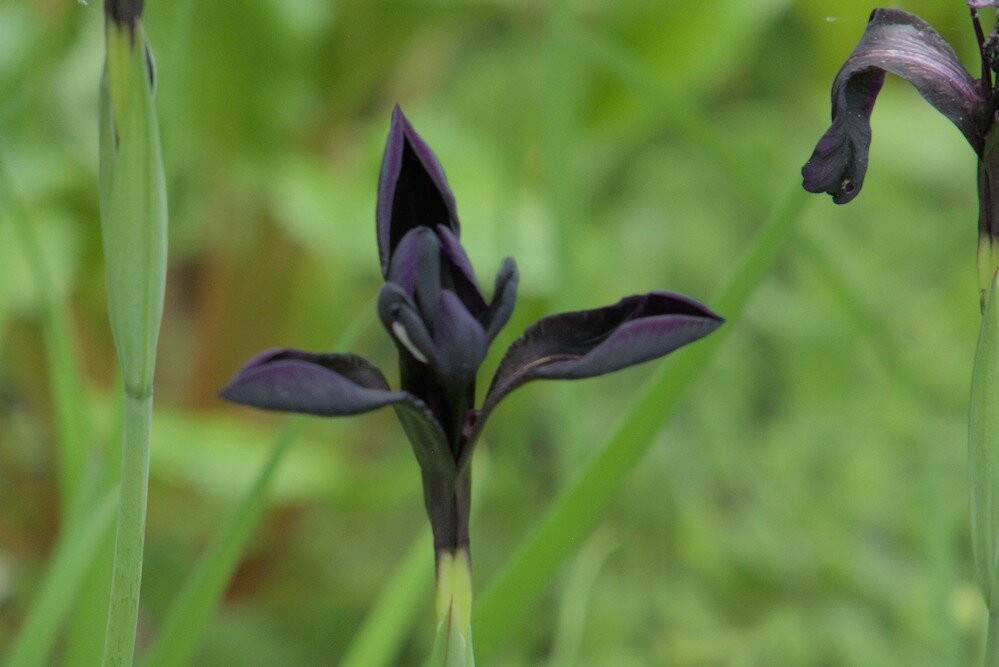 Les Jardins De Quatre Vents-拉马尔拜必去景点