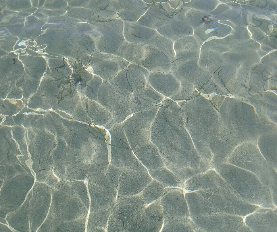 Medusa Apartments主图