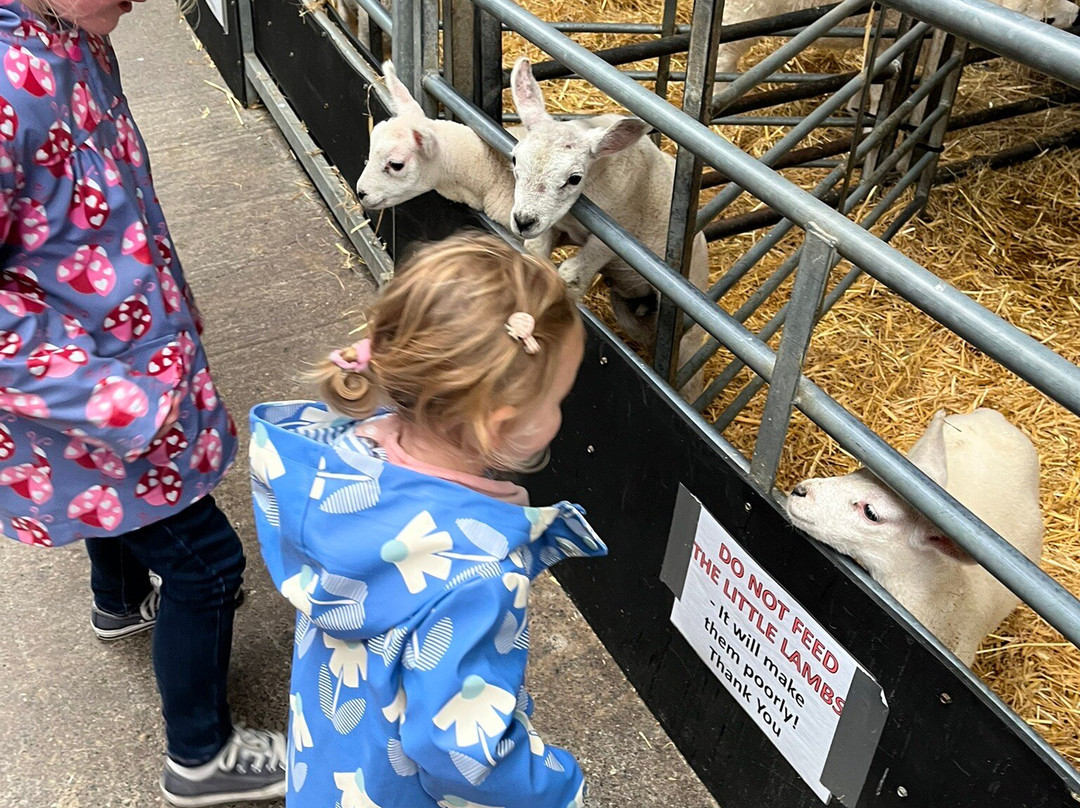 Foel Farm Park-Brynsiencyn必去景点