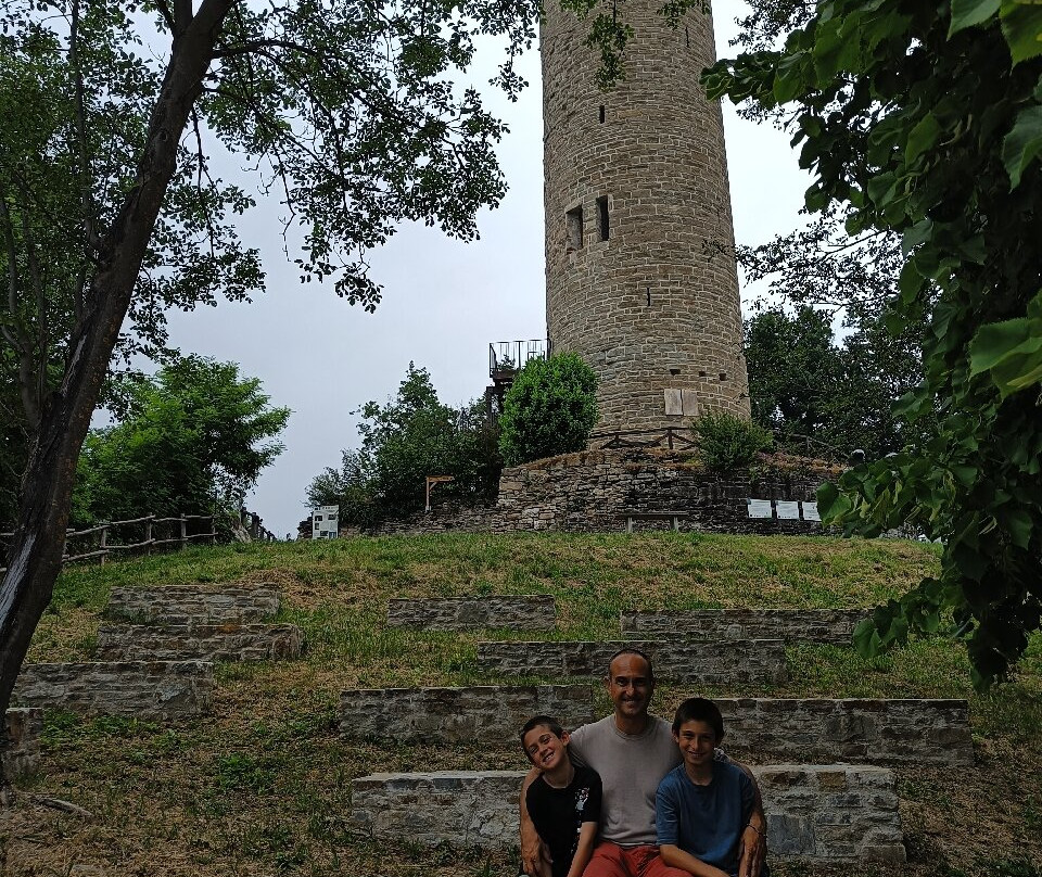 Torre di Castellino Tanaro