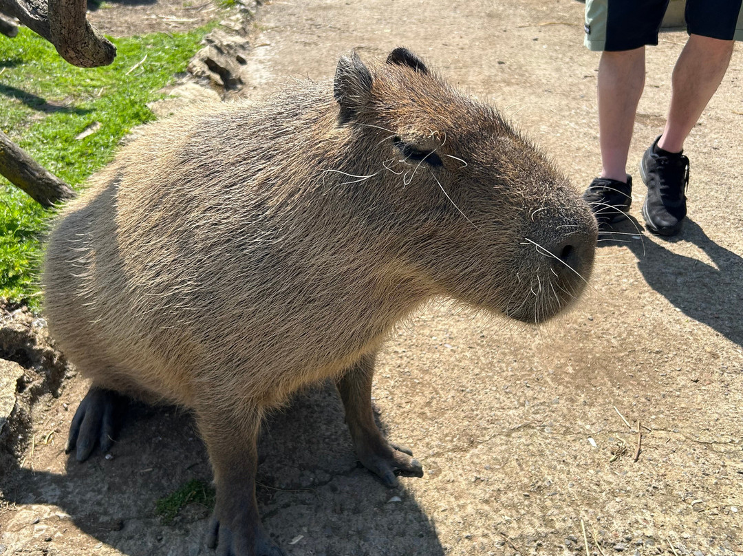 Chew Valley Animal Park-Chew Magna必去景点