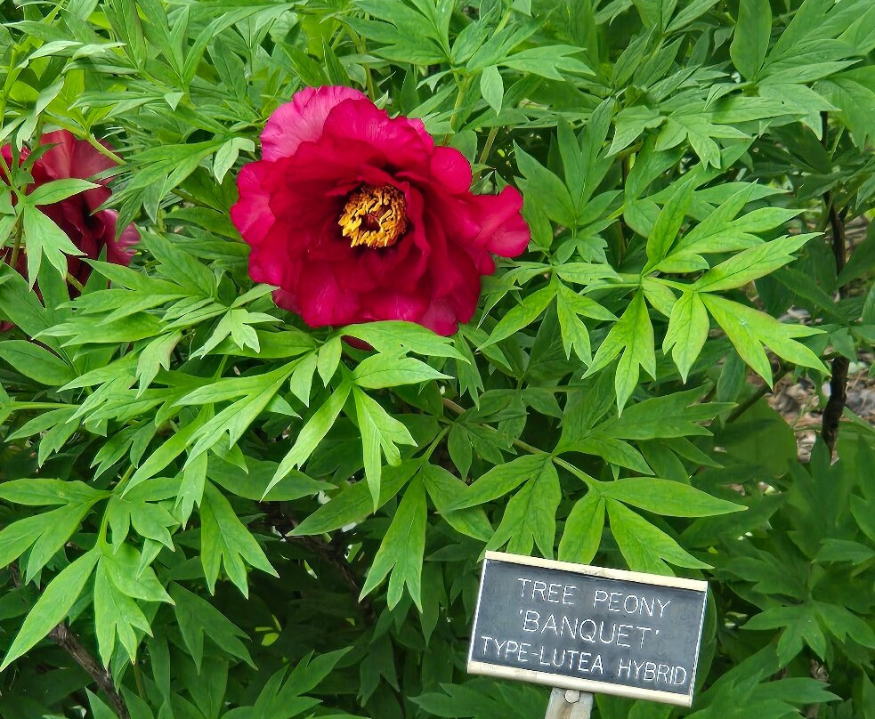 Boerner Botanical Gardens-黑尔斯科纳斯必去景点