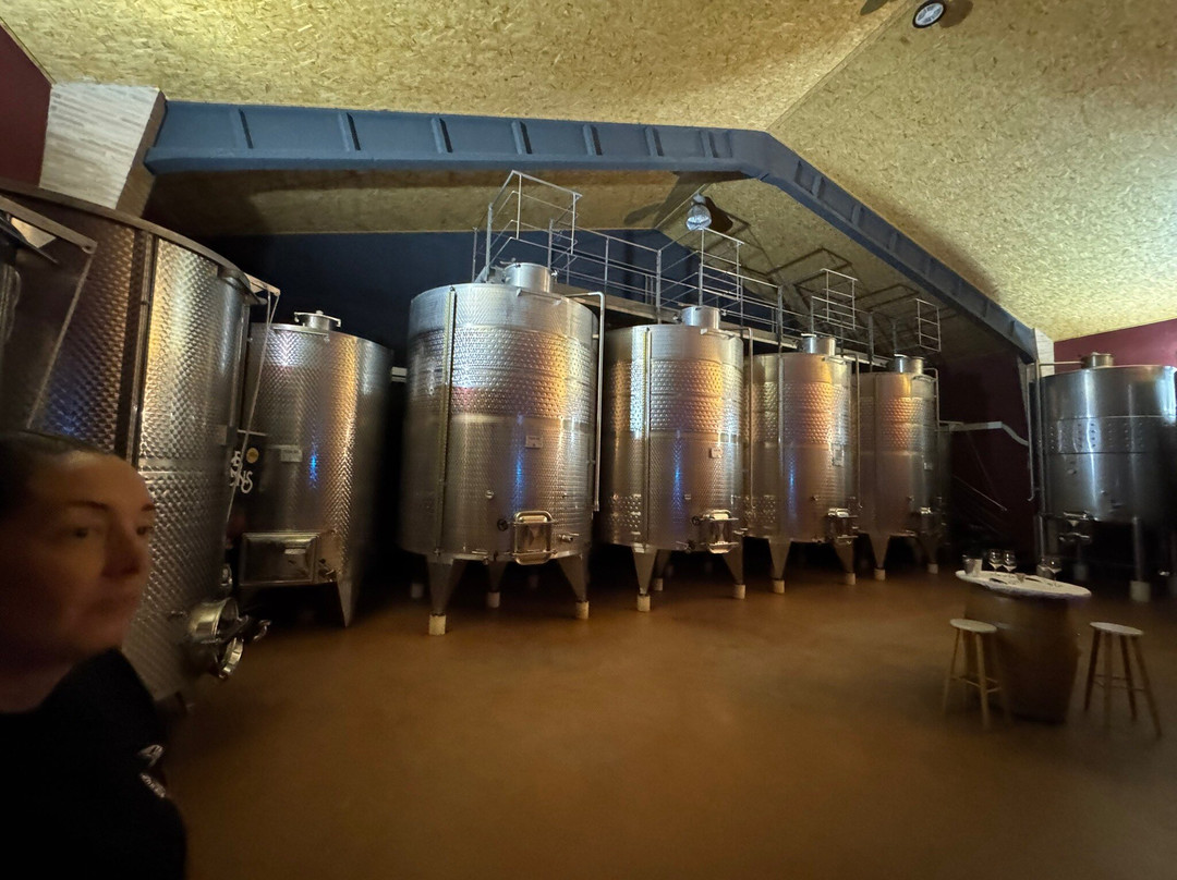 Bodegas Sers-Cofita必去景点