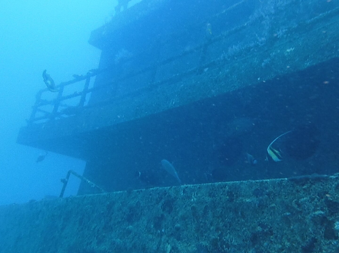 Dive Time-贝尔马尔必去景点
